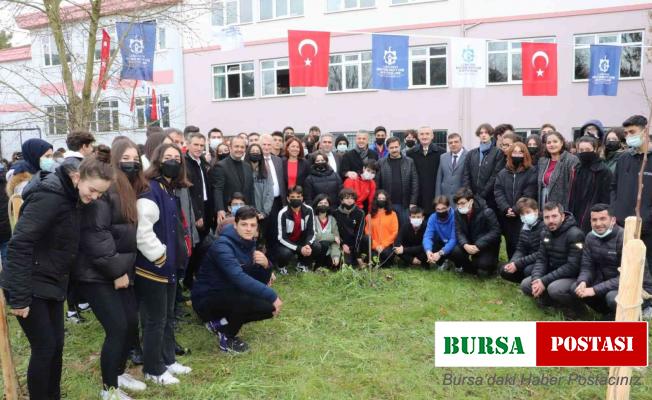 Meyve fidanları toprakla buluşuyor
