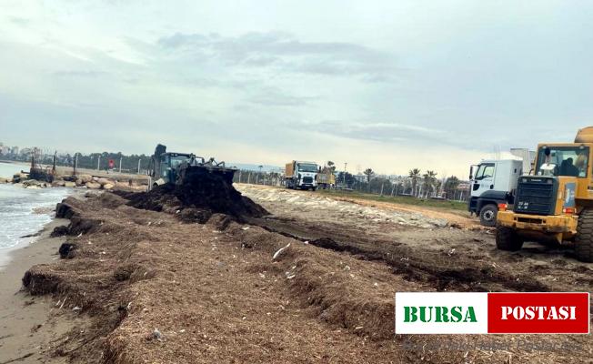 Millet Bahçesi sahiline vuran atıklar toplandı