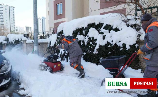 Mini kar temizleme araçları sahada