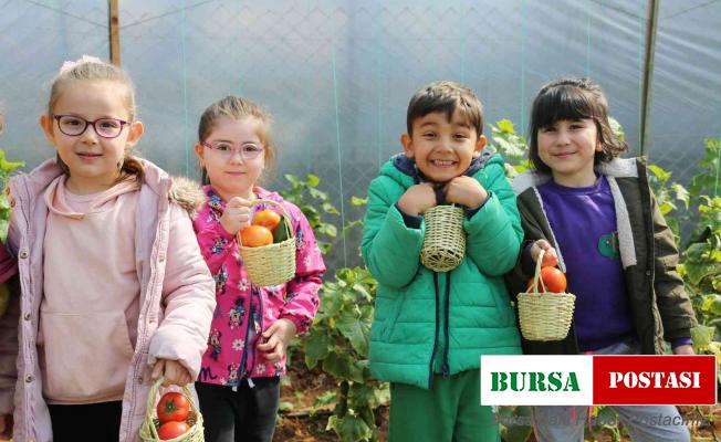 Minik ellerin ilk hasat sevinci