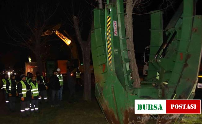 Mudanya yolunda ağaç seferberliği
