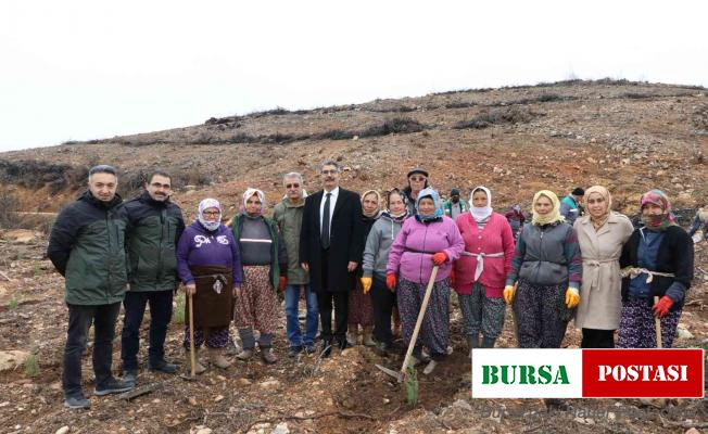 Muğla’da Şehit Yakınları Şehitler anısına fidan dikti
