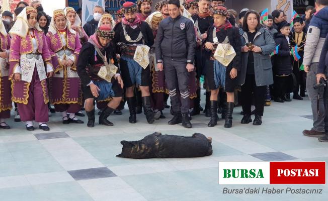 Nevruzda sevimli köpek ilgi odağı oldu