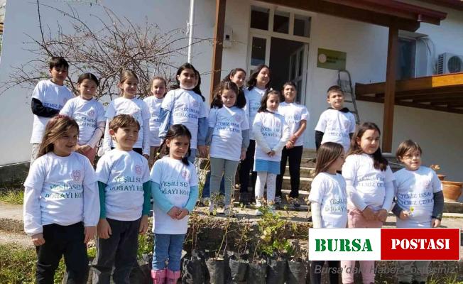 Öğrenciler Datça’da 25 adet harnup fidanı dikti