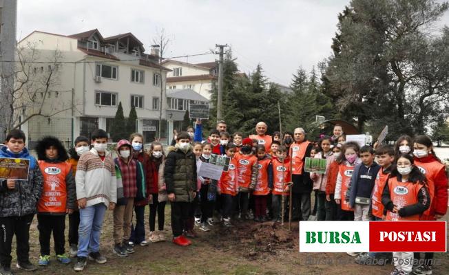 Öğrenciler, kiraz fidanı dikti