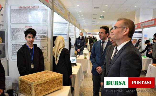 Öğrencilerin bilimsel projeleri sergilendi