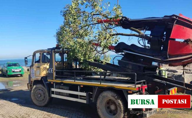 Ordu Büyükşehir ağaç sökme ve dikme makinesini kendi imal etti