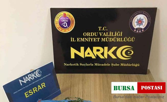 Ordu’da 2 torbacı tutuklandı