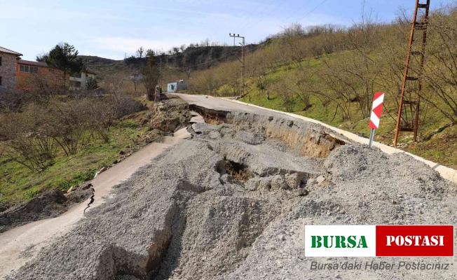 Ordu’da 256 yol ağında heyelan meydana geldi