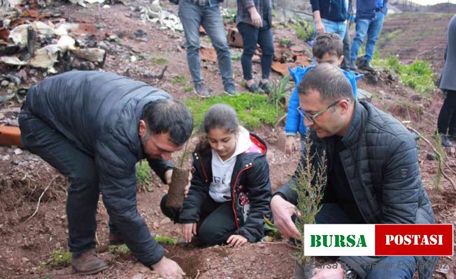 Ormancılık haftasında 400 fidan diktiler