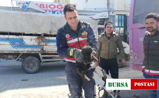 Otobüsün altına giren kediyi itfaiye ekipleri kurtardı