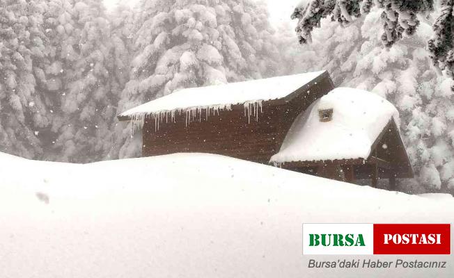 (Özel) Kar kalınlığı 2 metreyi bulunca köşkler kar altında kaldı