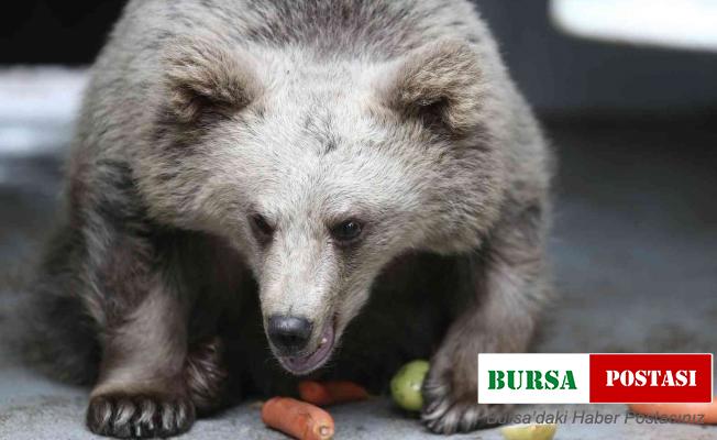 (Özel) O yavru 6 ay sonra gözlerini açtı