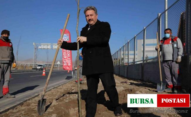 Palancıoğlu: “İklime uygun ağaçlandırma yapılarak, ilçenin ağaç haritası çıkarılacak”