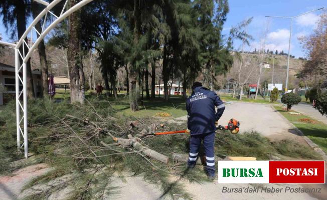 Pınarbaşı Mesire Alanı, Efeler’in festivaline hazır