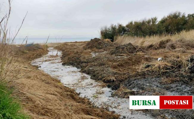 Plaj alanı açmak için dere yatağını değiştirdiler