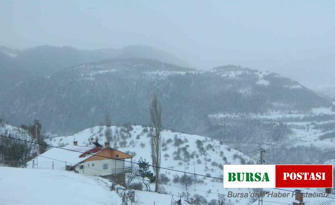 Posof’ta kar ve tipi okulları kapattı