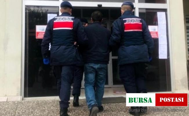 Pulluk hırsızları jandarmadan kaçamadı: 3 gözaltı