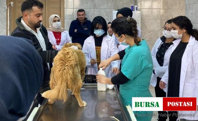 Rehabilitasyon merkezinde öğrenciler ders görecek