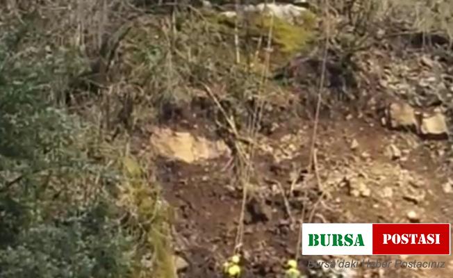 Rize’de karayollarında taş temizliği