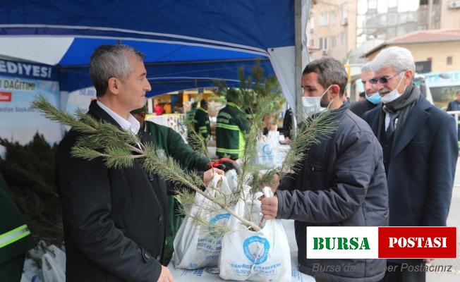 Şahinbey’de 150 bin çam fidanı dağıtıldı