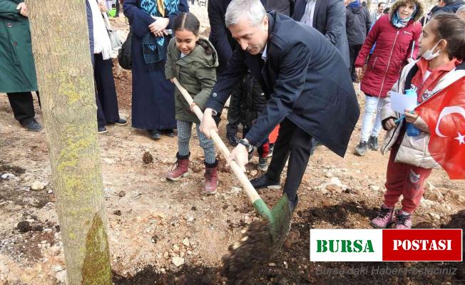 Şahinbey’de ağaç dikim töreni yapıldı