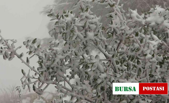 Samandağ’da 10 yıl aradan sonra yağan kar, kartpostallık görüntüler ortaya çıkardı