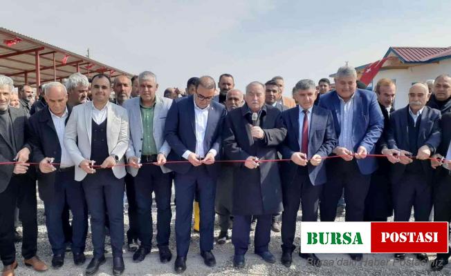 Samsat’ta canlı hayvan borsası açıldı