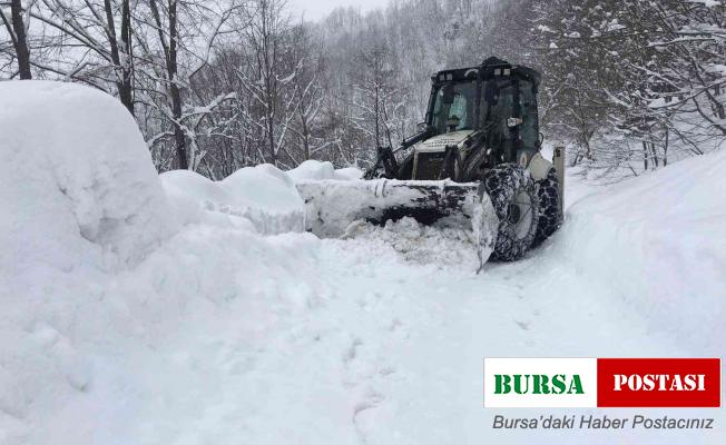 Samsun’da 110 mahalle yolu kar nedeniyle ulaşıma kapandı