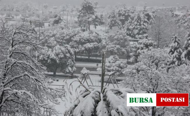 Samsun’da bazı ilçelerde eğitime 1 gün ara