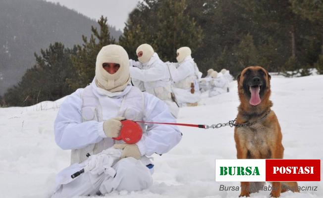 Sarıkamış’ta komandolardan eksi 19 derecede eğitim