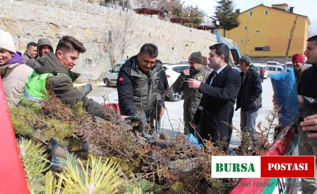 Sarıveliler ilçesinde vatandaşlara fidan dağıtıldı