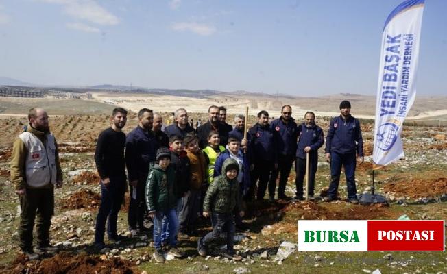 Şehitkamil’de 10 bin fidan toprakla buluştu