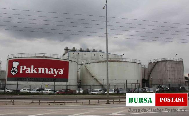 Şehri saran maya kokusuna ilginç yorumlar