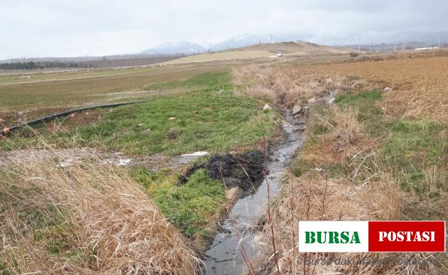 Sekiz yıldır tarlasından mahsul alamıyor