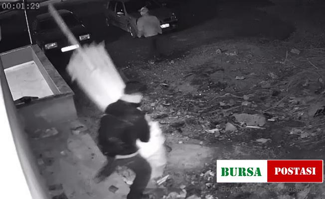 Şemsiye hırsızları önce kameraya sonra polise yakalandı
