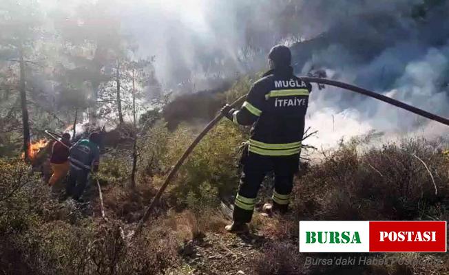 Seydikemer’de orman yangını