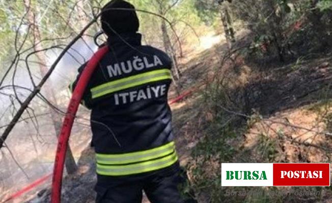 Seydikemer’de orman yangını