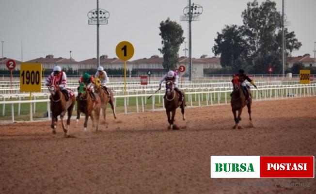 Seyhan Belediye Başkanlığı Koşusu’nu Toramankaya kazandı