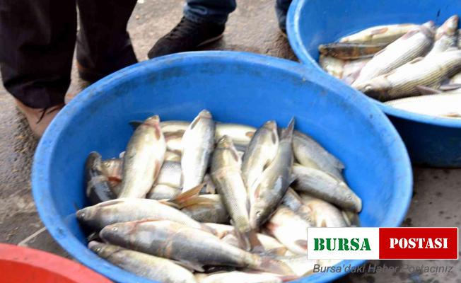 Siirt’te iç sularda av yasağı başlıyor