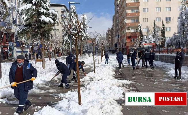 Siirt’te karla mücadele çalışmaları devam ediyor
