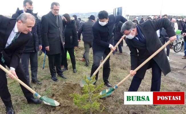Sinop’ta 400 fidan toprakla buluştu