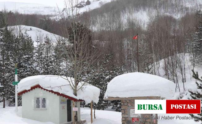 Sivas’ta zemheri bahar, hayat buz tuttu