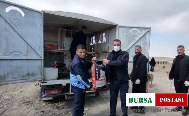 Sokak hayvanları için mama ve su bırakıldı