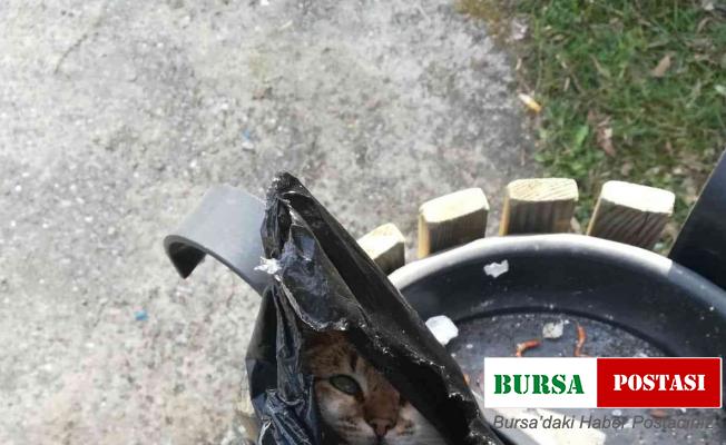 Spor yapmaya geldiler, çöpde gördükleri manzara karşısında büyük şok yaşadılar