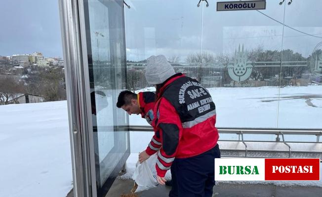 Sultangazi Belediyesi ekipleri karla mücadeleyi dört bir yandan sürdürüyor
