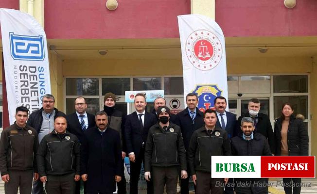 Sungurlu’da 300 fidan dağıtıldı