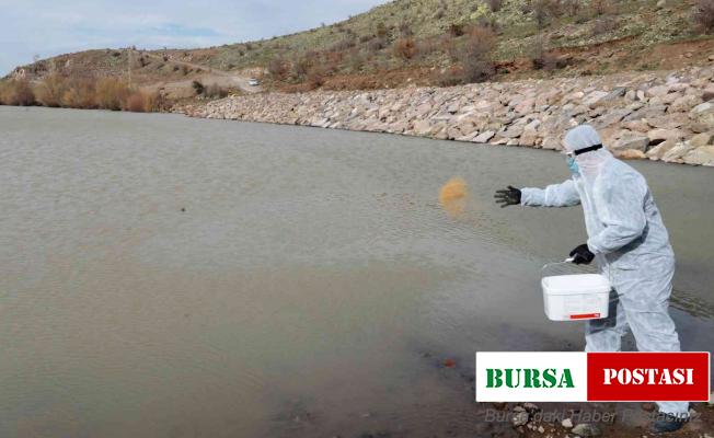 Talas’ta sinek ve haşerata erken önlem