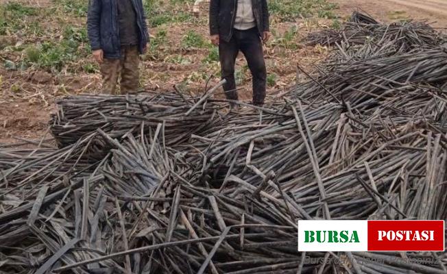 Tarladaki sulama borularını çalarken suçüstü yakalandılar