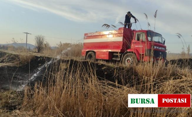Tavşanlı’da arazi yangını
